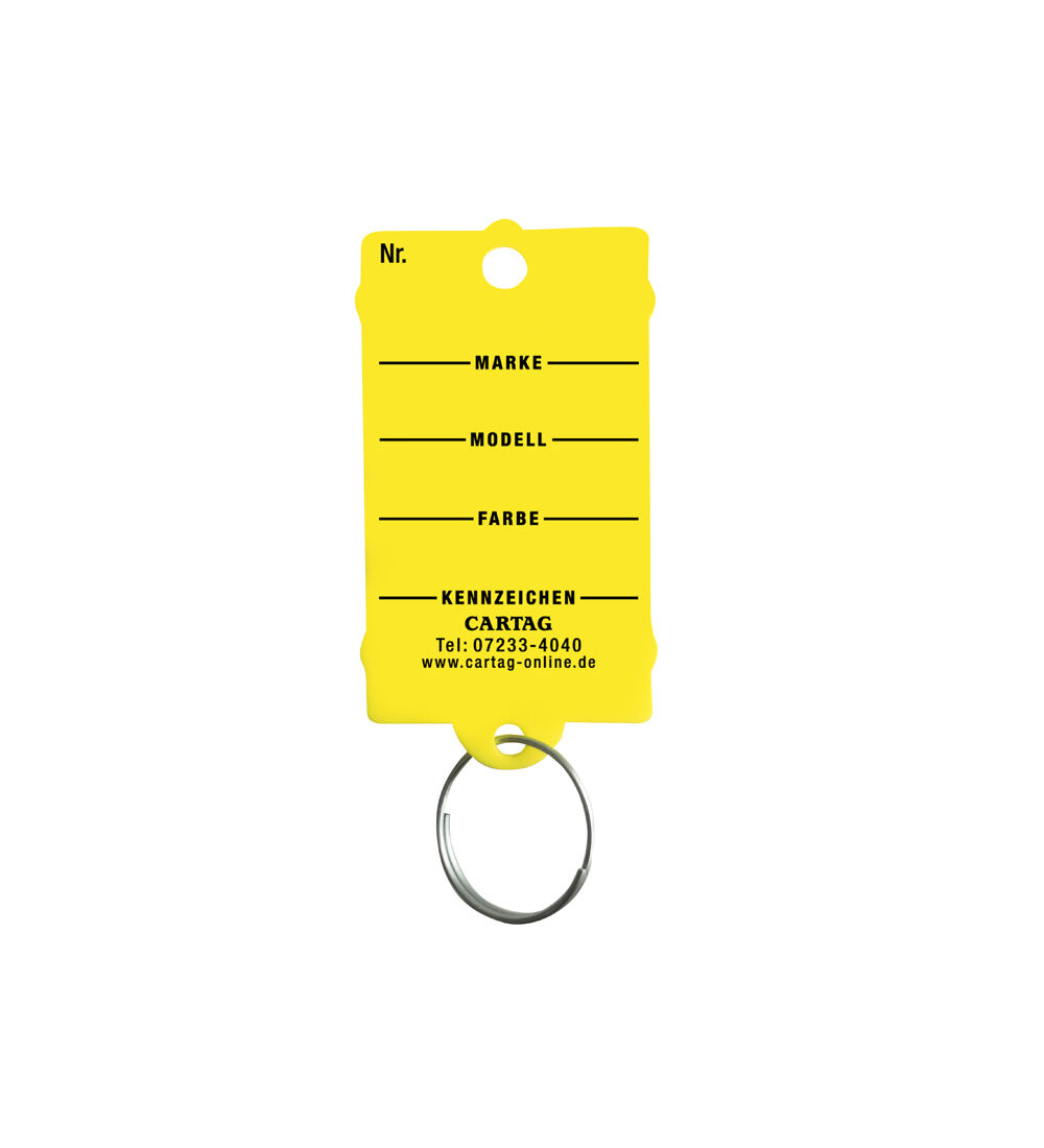 CARTAG 1    Schl�sselanh�nger-Set mit Ring (200 St�ck + 2 Permanent-Stifte)  