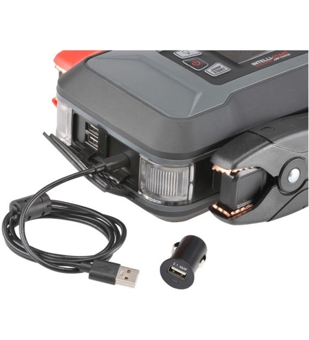 Professionelle Starthilfe Projecta IS2000, 12V + 24V 2000A Bild 2