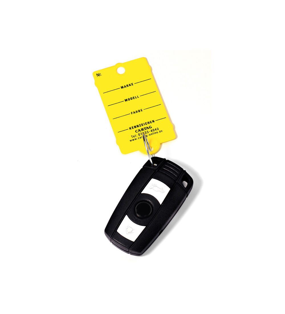 CARTAG 1 - Schlüsselanhänger-Set mit Ring (200 Stück + 2 Permanent-Stifte) Bild 2