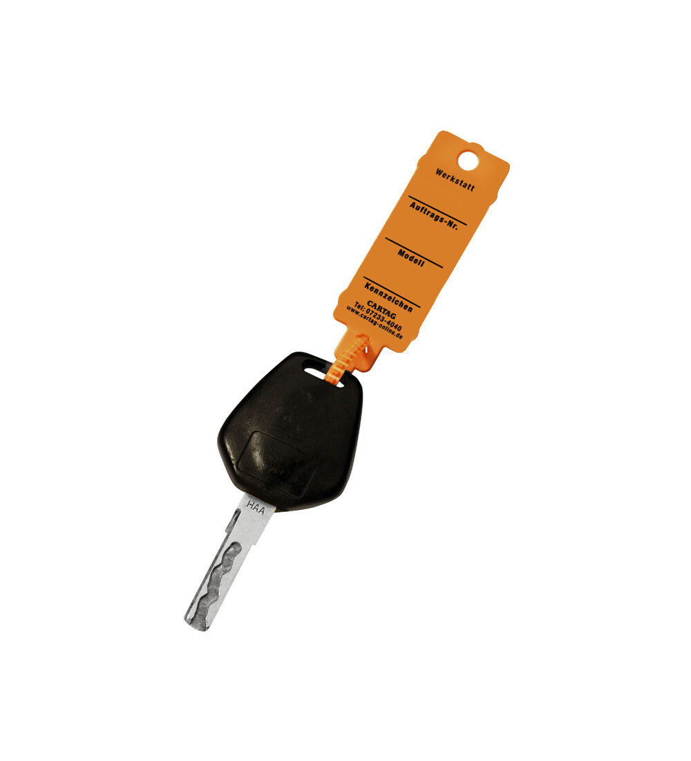CARTAG 3 - Schlsselanhnger Set fr Werkstatt mit Kabelbinder-Rasterverschlu (300 Stck + 1 Permanent-Stift) Bild 2