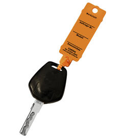 CARTAG 3 - Schlüsselanhänger Set für Werkstatt mit Kabelbinder-Rasterverschluß (300 Stück + 1 Permanent-Stift)