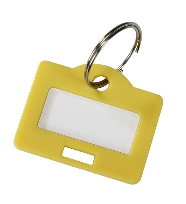  Schlsselanhnger MULTI fr Schlsselkasten/-tresor mit Ring und Etikett - 50 Stck            