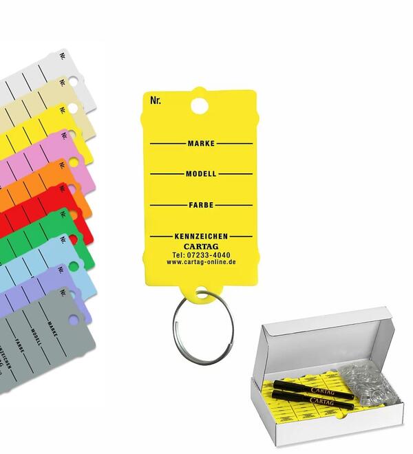 CARTAG 1    Schl�sselanh�nger-Set mit Ring (200 St�ck + 2 Permanent-Stifte)  